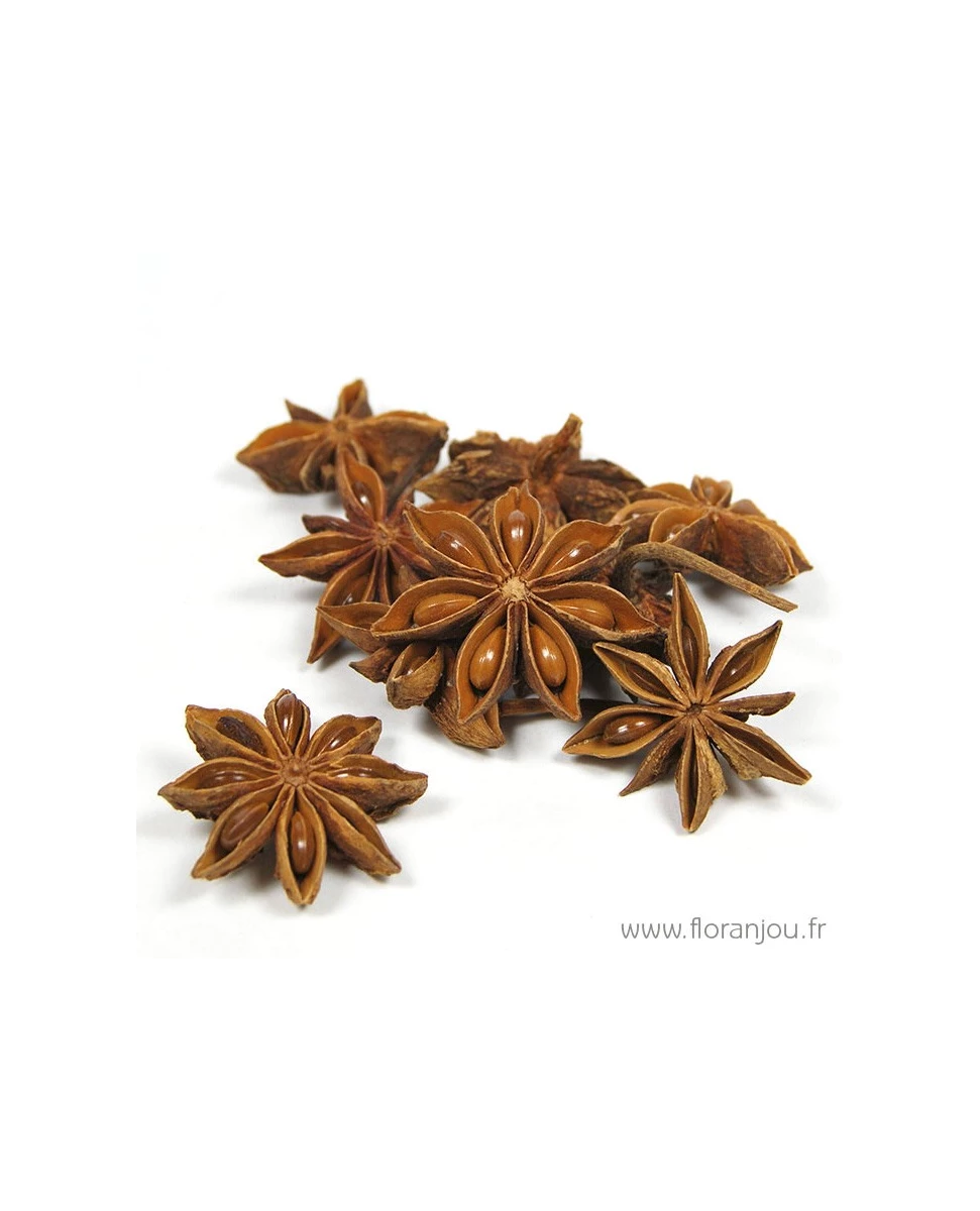 Badiane Fruit Bio 70g-Floranjou