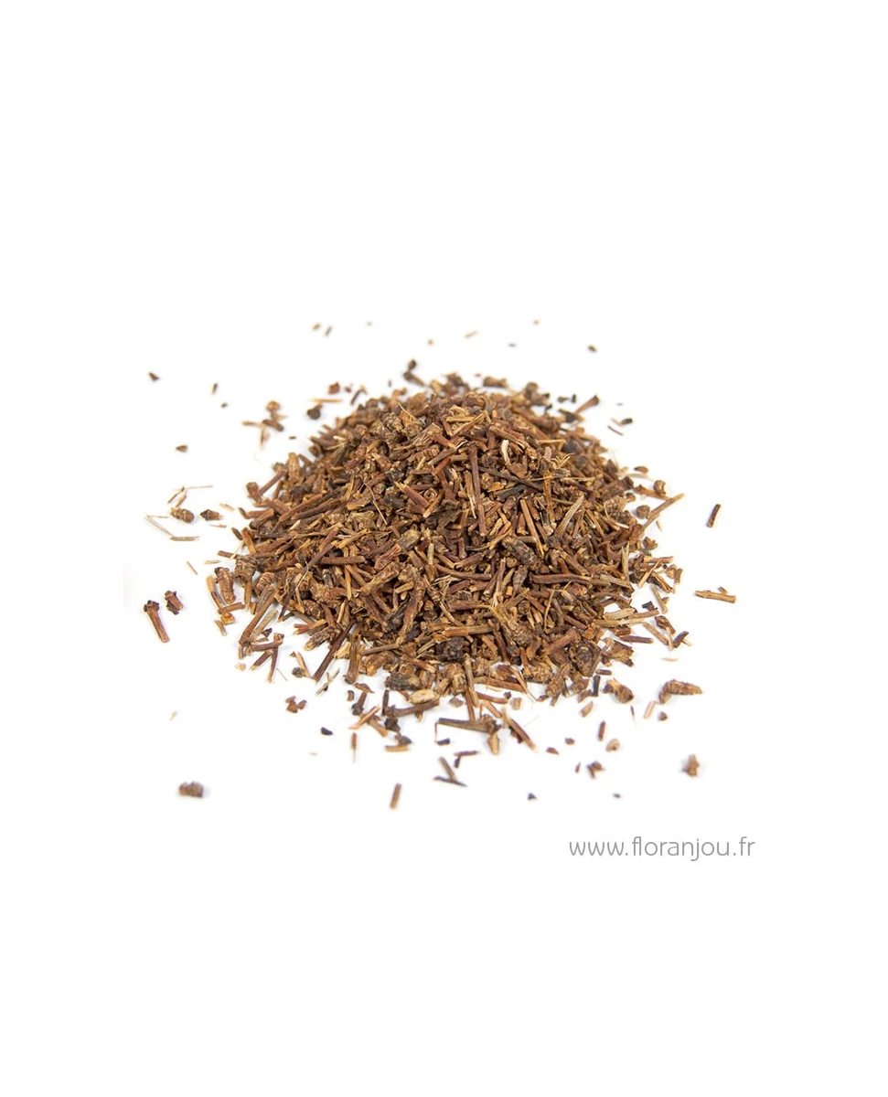 Cerisier Queue Rouge 50g-Floranjou