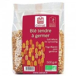 Blé Tendre à germer, Celnat, 500g