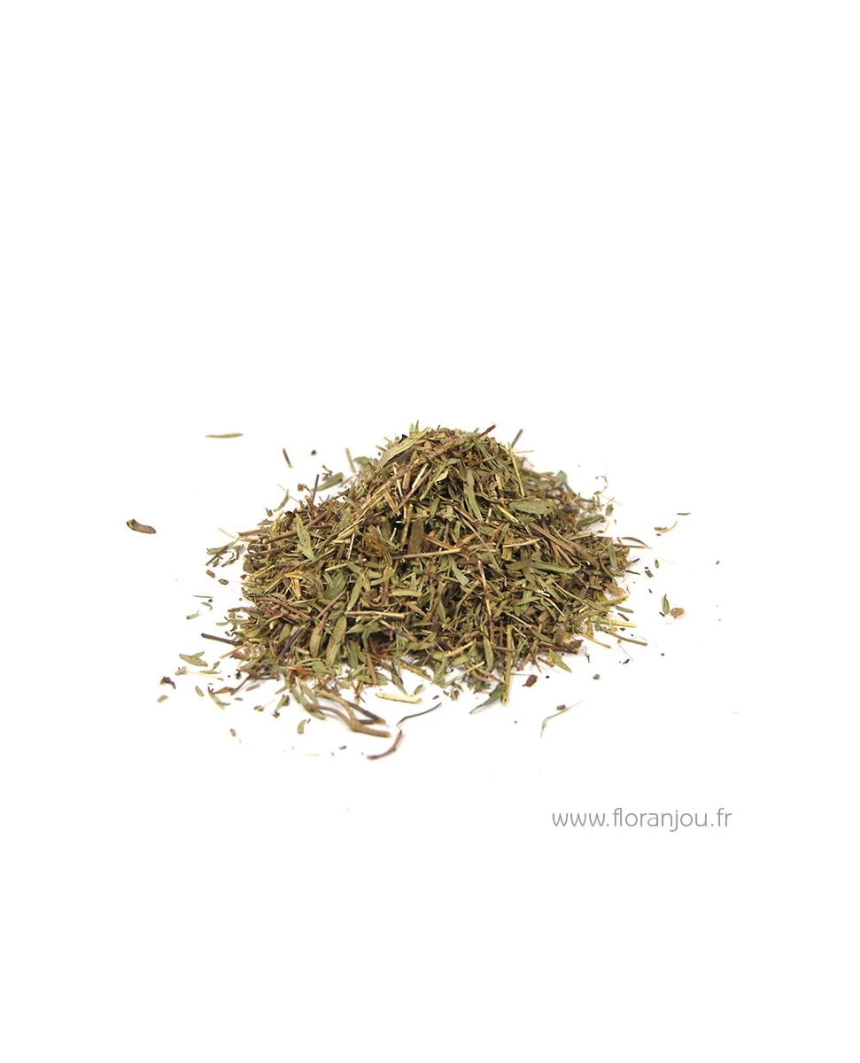 Serpolet Feuille Bio 30g-Floranjou