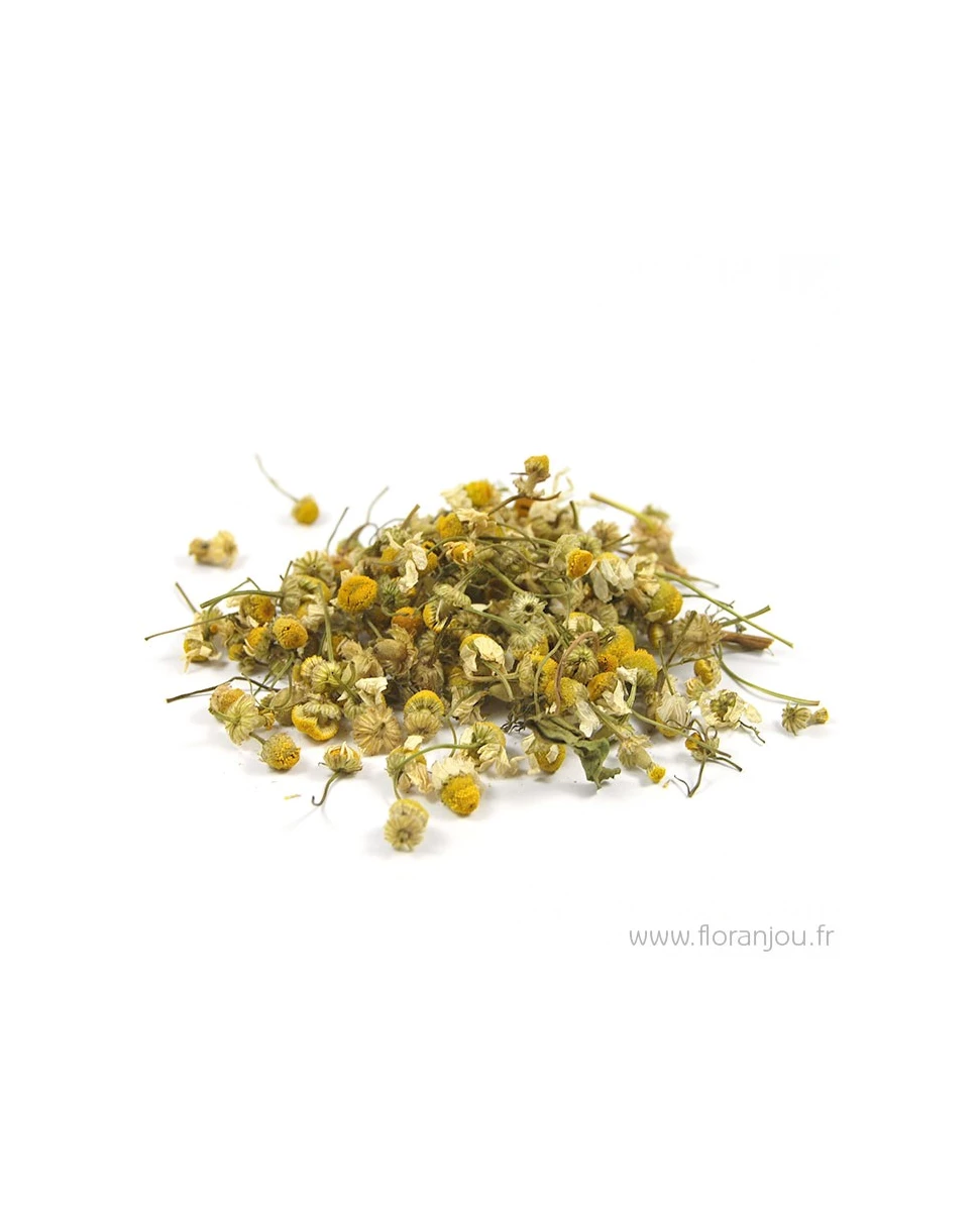 Matricaire Fleur Bio 35g-Floranjou