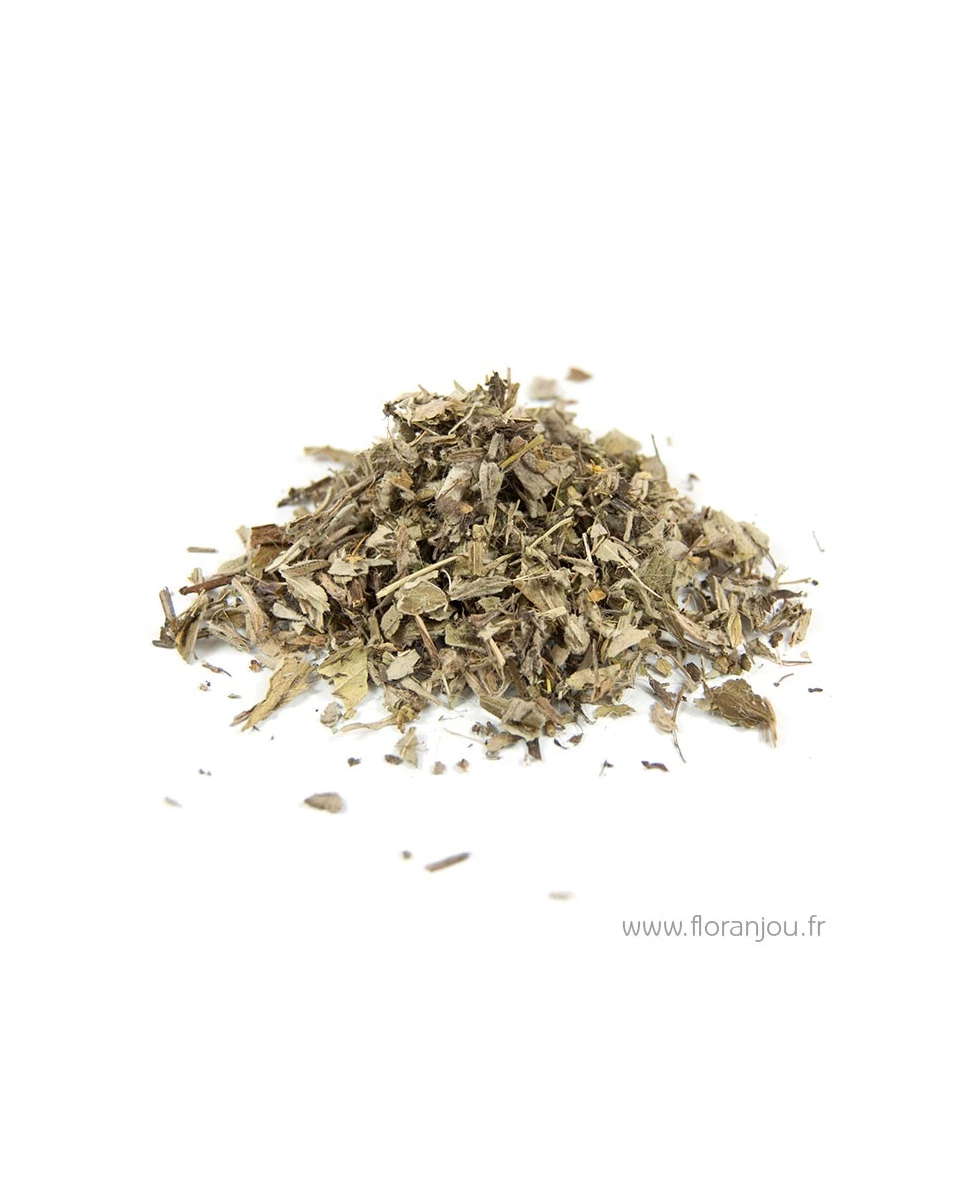 Piloselle Plante 50g-Floranjou