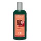 Shampooing Reflets Henné 250mL-LOGONA