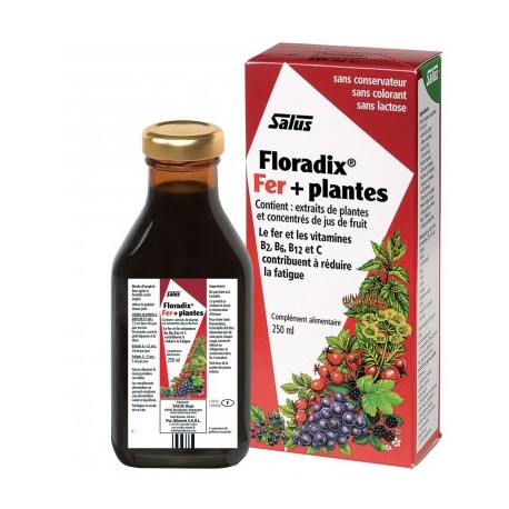 Floradix Fer + Plantes - 250ml - Salus