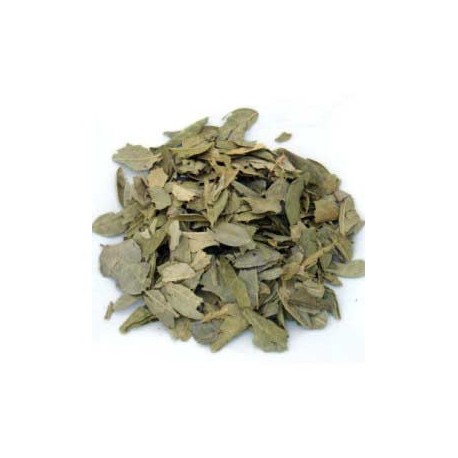 Boldo (Feuille) Bio 30g-Floranjou