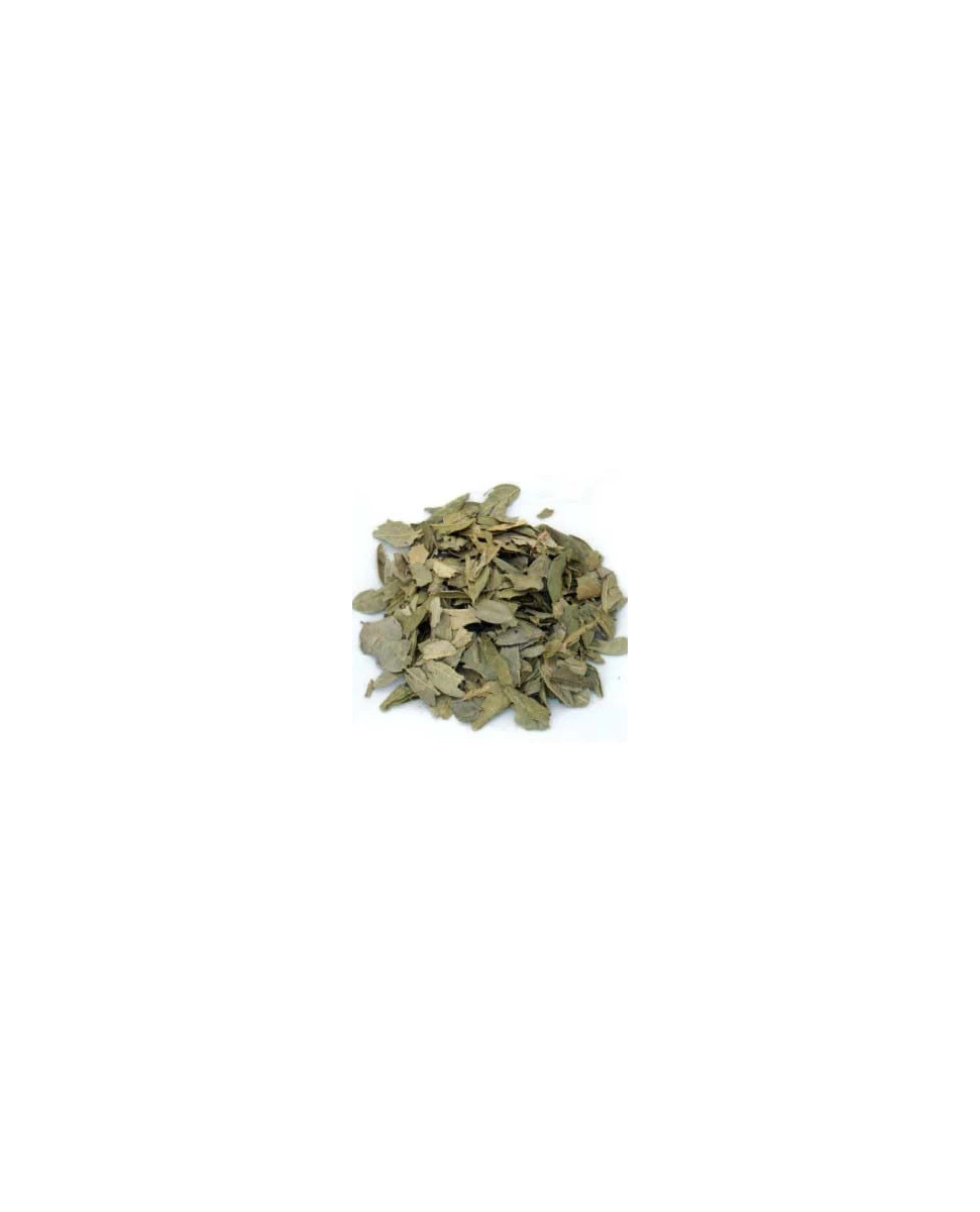 Boldo (Feuille) Bio 30g-Floranjou