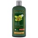 Shampooing Reflets Noisette 250mL-LOGONA