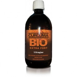 Curcuma Bio Extra Fort - 300ml - Dr.Theiss