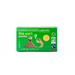 Thé Vert Menthe, Infusettes Bio 36g-Les Jardins de Gaia
