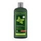 Shampooing Normalisant 250mL-LOGONA