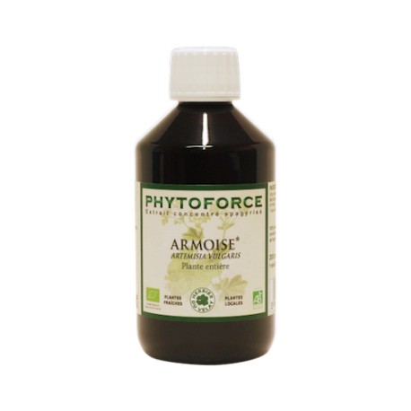 Armoise - Phytoforce - 300 ml - Vecteur Energy