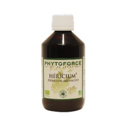 Héricium - Phytoforce - 300 ml - Vecteur Energy