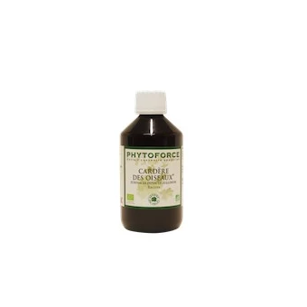 Cardère - Phytoforce - 300 ml - Vecteur Energy