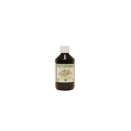 Cardère - Phytoforce - 300 ml - Vecteur Energy