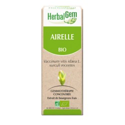 Airelle Extrait Bio - 50ml - HerbalGem