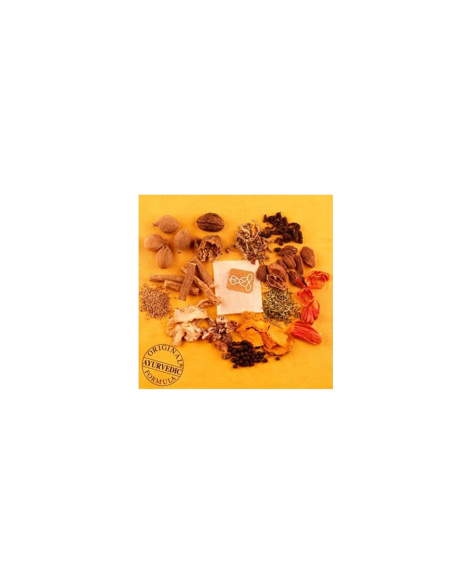 Protecteur Hivernal Bio - 20 Sachets - Atma