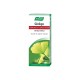 Ginkgo - Extrait de Plante Fraiche - 50ml - A.Vogel