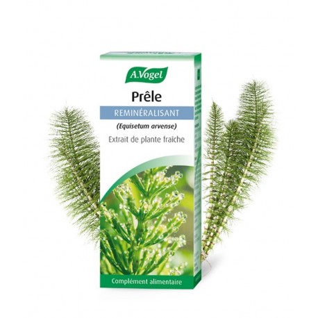 Prêle - Extrait de Plante - 50ml - A.Vogel