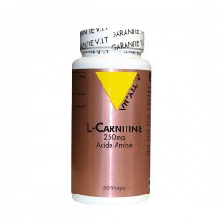 L-Carnitine 250mg - 50 Gélules - Vit'All+