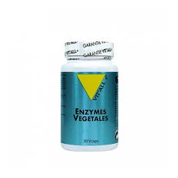Enzymes Végétales - 30 Gélules - Vit'All+