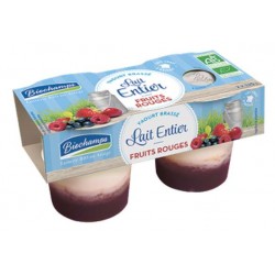 Yaourt Brassé Fruits Rouges -2x125g - Biochamps