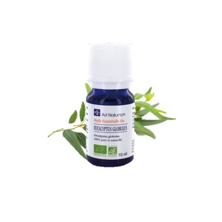 Huile Essentielle Eucalyptus Globulus - 10ml - Ad Naturam