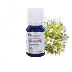 Huile Essentielle Marjolaine Sylvestre - 10ml - Ad Naturam