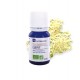 Huile Essentielle Cajeput - 10ml - Ad Naturam