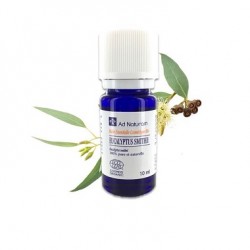 Huile Essentielle Eucalyptus Smithii - 10ml - Ad Naturam