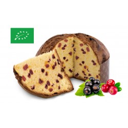 Panettone Bio avec Canneberges et Cassis - 750g - Pastticceria Alla Torre