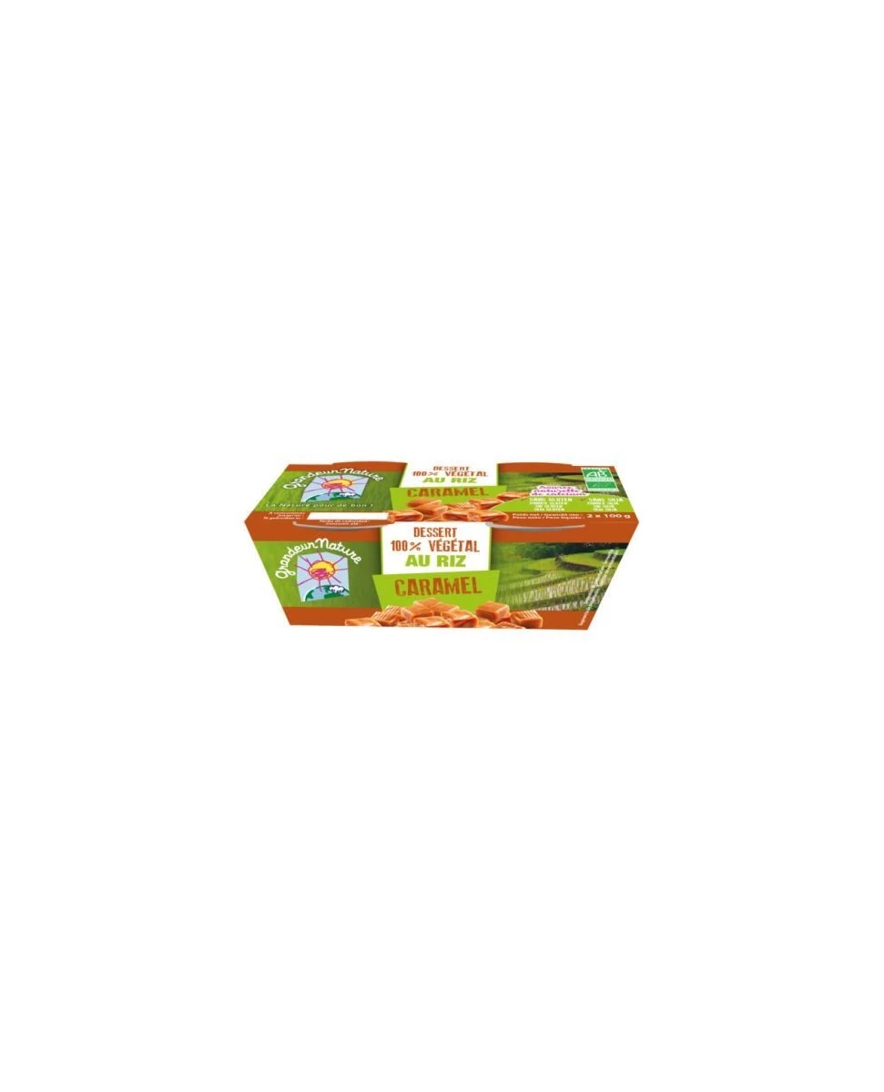 Dessert 100% Végétal Riz Caramel 2x100g - Grandeur Nature