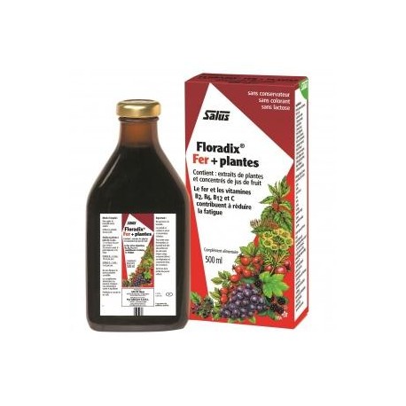 Floradix Fer + Plantes - 500ml - Salus