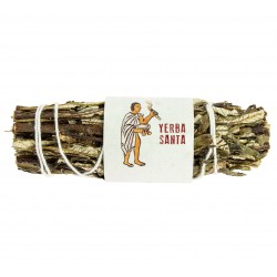 Yerba Santa - 8-10 cm - Tierra Zen