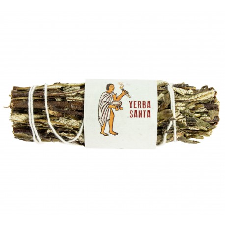 Yerba Santa - 8-10 cm - Tierra Zen