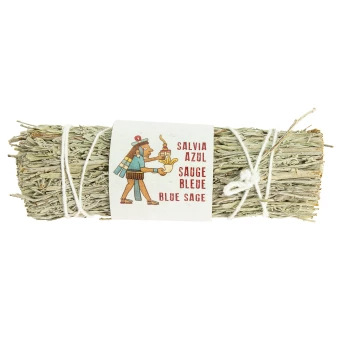 Sauge Bleue - 8-10 cm - Tierra Zen