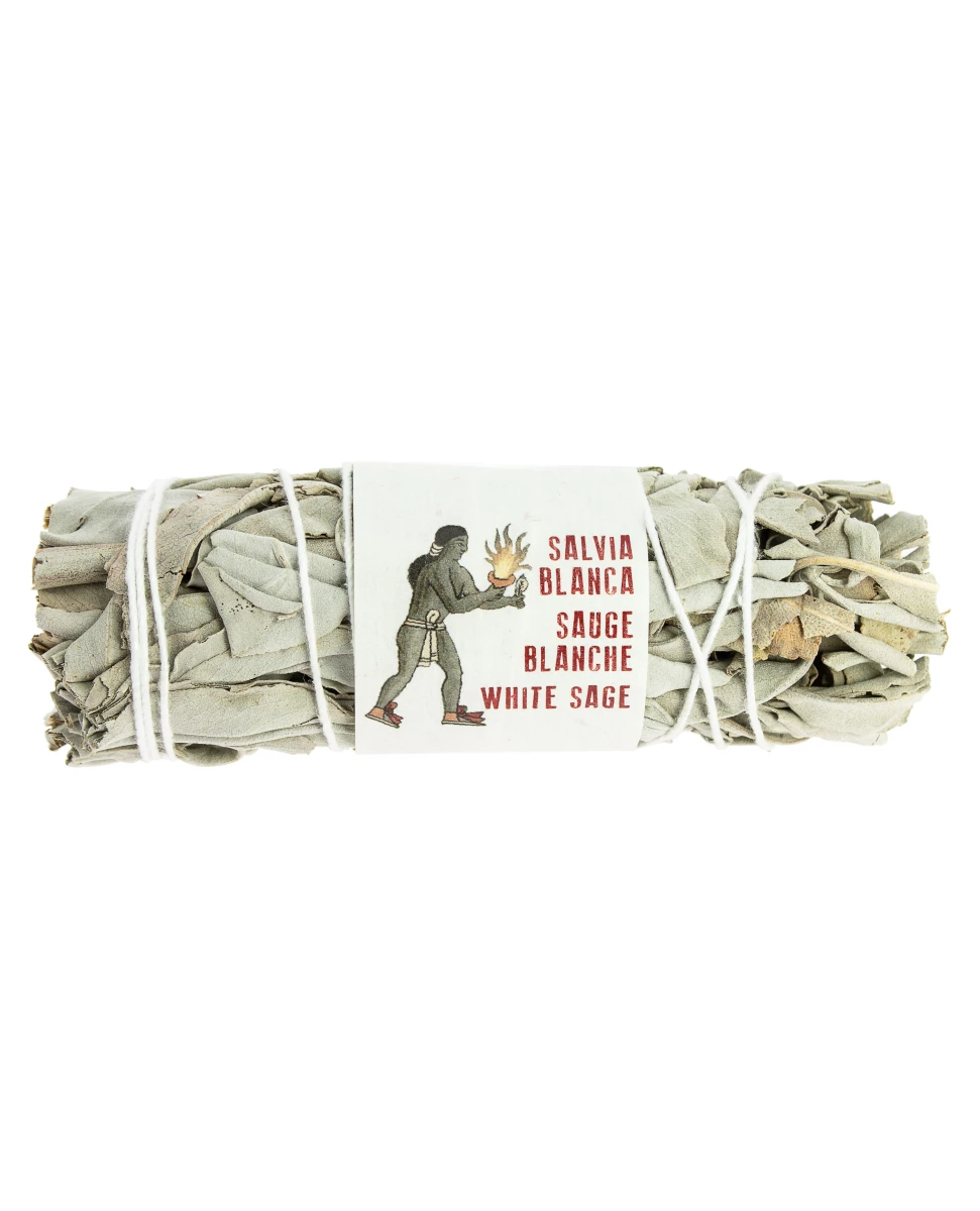Sauge Blanche de Californie - 8-11 cm - Tierra Zen