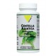 Centella Asiatica Bio - 60 Gelules - Vit'All+