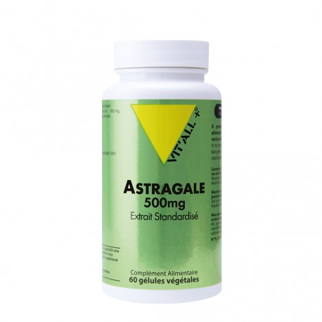 Astragale 500mg - 60 Gelules - Vit'All+