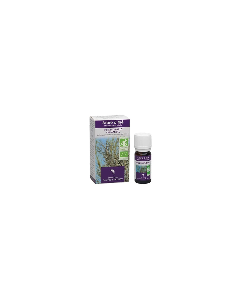 Arbre à Thé, Huile Essentielle 10ml-Docteur Valnet