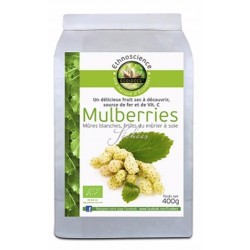 Mulberries Bio - 400g - Écoidées