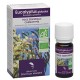 Eucalyptus globulus, Huile Essentielle 10ml-Docteur Valnet