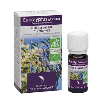 Eucalyptus globulus, Huile Essentielle 10ml-Docteur Valnet