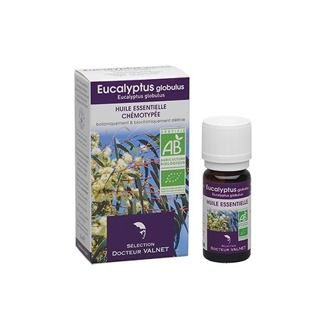 Eucalyptus globulus, Huile Essentielle 10ml-Docteur Valnet