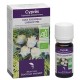 Cyprès, Huile Essentielle 10ml-Docteur Valnet