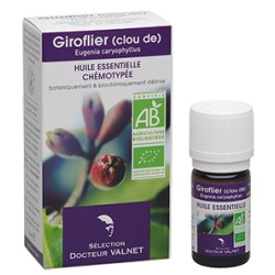 Giroflier (clou de), Huile Essentielle 5ml-Docteur Valnet