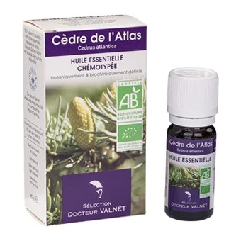 Cèdre de l'Atlas, Huile Essentielle 10ml-Docteur Valnet