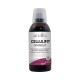 Cellulifit Draineur - 500ml - Diet Horizon