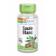 Saule Blanc - 60 Capsules - Solaray