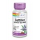 Gattilier - 60 Capsules - Solaray