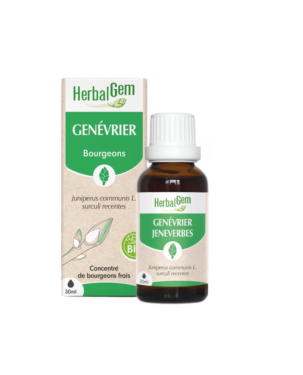 Genévrier Macérat Bio - 30ml - HerbalGem